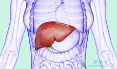 ���Ա��͸���/��������֢״����Щ�����أ�