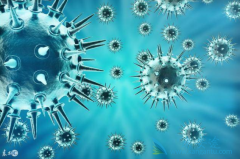 ����������������Ҹβ������Ҹγ�ʶ