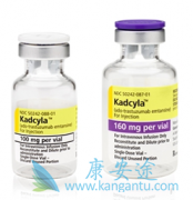 ���������ٰ�������T-DM1(Kadcyla)������ҩ������к����ƣ�