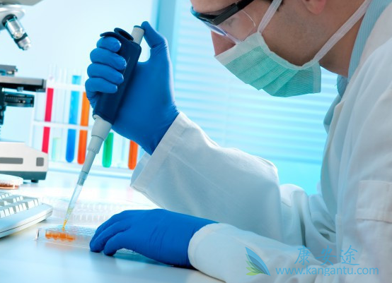 布吉他滨 布吉他滨