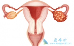 ���˱���������Щҩ��Ҳ�����ڸ����ѳ���������