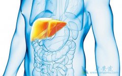 ����Ҹα��濹�������Ӧ��ע����Щ���