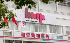 �ͼǻ��ҿ�չ����VEGFR���Ƽ�Surufatinib����������������