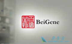 �ټ���������BTK���Ƽ�Zanubrutinib������Ч����ô����