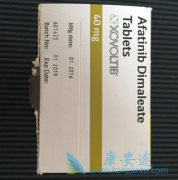 ʳ������ջ�԰�������(Afatinib)����Ч����Ӱ��