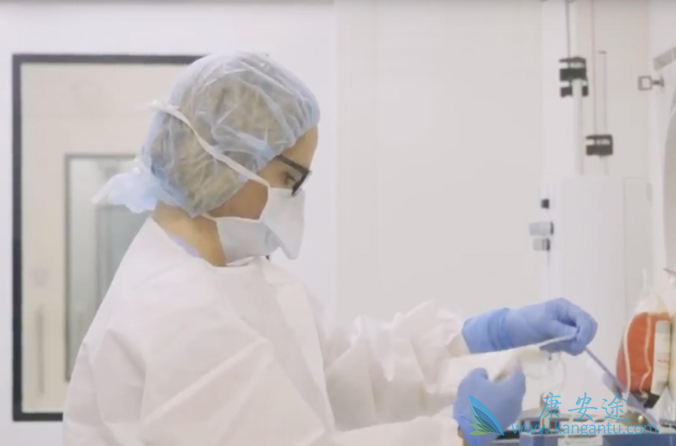 CAR-T疗法 CAR-T疗法