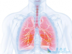 ALK���Ƽ�����������ALK���Ż��ߵ���ѡ��ҩ��