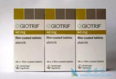 ���������ѳ�ΪEGFR����ͻ�����ڷ�Сϸ���ΰ��Ŀ���