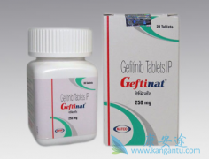 �ڼ�������(Gefinat)�����м��������������ӳ���������