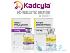 �ͺ���͡���T-DM1���������ƻ��ߵ�����Ϯ�Լ���������