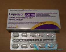 ���������EGFR�ΰ�����Ƥ�ͱ�Ƥϸ���������Ӷ�����������