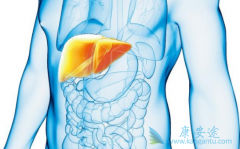 ���������Ϻ�������������������������Ҹλ��ߵ�HBsAgˮƽ