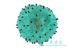 CAR-Tϸ���Ʒ��Ƕ෢�Թ����������е�һ������