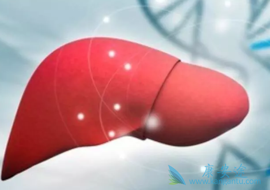 丙型肝炎病毒 丙型肝炎病毒