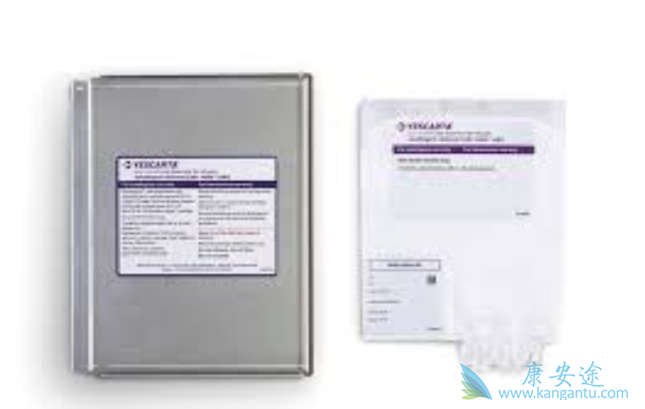 嵌合抗原受体T细胞疗法 嵌合抗原受体T细胞疗法