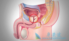 ���������Ͷ��������ĸ�����ת����ǰ���ٰ�Ч���ã�