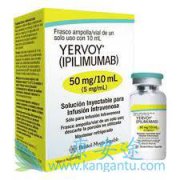 PD-1������ƥľ����(YERVOY)��������Щ���ߣ������ʹ�ã�