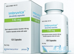 ��ҩ��������/��³��������DLBCL��Ч����