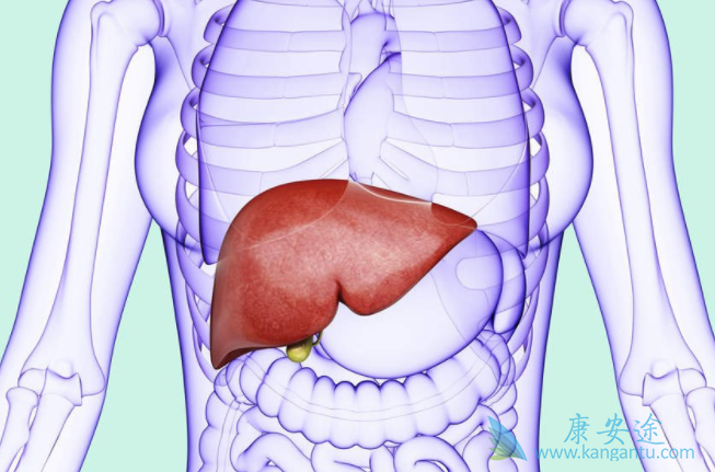 丙肝病毒 丙肝病毒