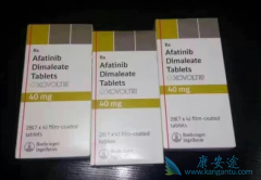 ����ҩ��������ʹ���������ת�ƻ��ߵ���Ч