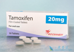 ��Ī����/ŵ�ߵ�ʿ����Ч��CYP2D6�����̬�ԵĹ�ϵ