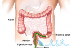 ������/�����������Խ�ֱ����������Ч���ȱ���������