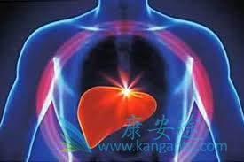 丙肝的危害 丙肝的危害