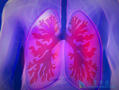 Сϸ���ΰ�������ʱ�䳤���������ĵ��������