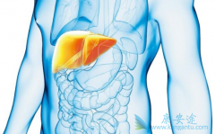 �Ҹδ�����ת��Ϊ�Ҹ�С���������ͣҩ��