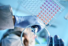 ���ֽ����Ҳ����������ϸߵ����Ա������κ���