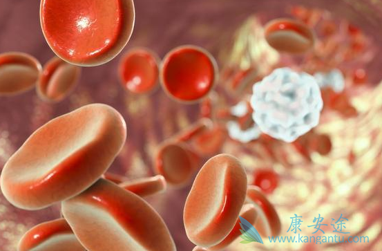 尼洛替尼胶囊 尼洛替尼胶囊