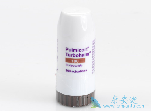 布地奈德 布地奈德