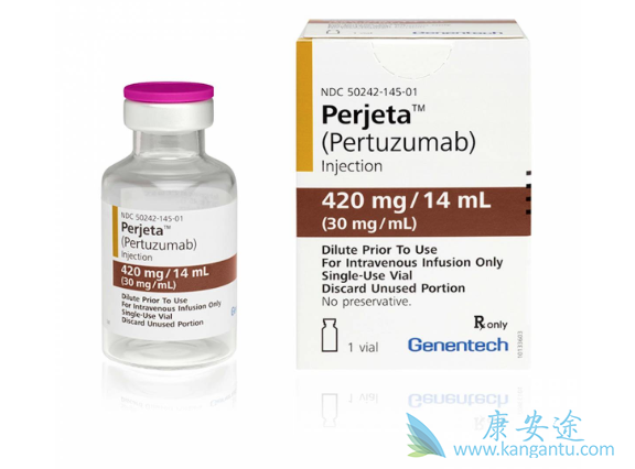 抗HER2治疗 抗HER2治疗