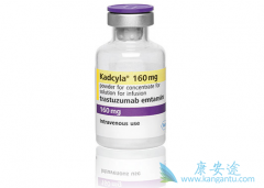 �����鵥����Kadcyla��T-DM1����������HER2���ٰ����ߵİ���ҩ