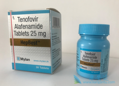 ��ŵ��Τ����(Vemlidy)�ĸ���������Щ��