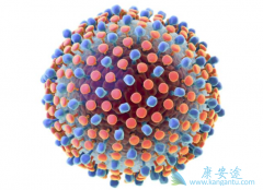 ʲô�Ǳ��β������壿���β������������ԭ����ʲô��