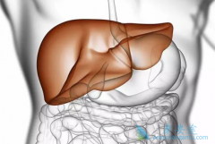 Ϊ�������Ҹ����ƹ�����������иΰ�ɸ�飿