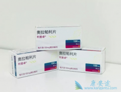 ���ٰ�ȫ�°���ҩ��PARP���Ƽ���������/����׿�Ѿ��ڹ�������