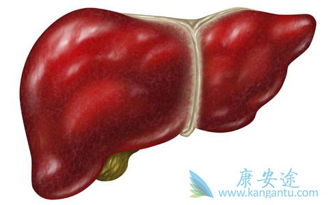 丙型肝炎 丙型肝炎