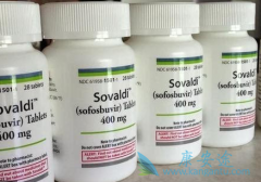 ���ǲ�Τ���������Ʊ��͸��������HEV����ͬ����Ч