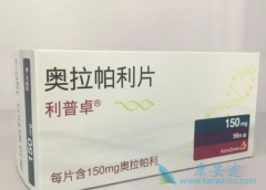 �����������׸���������BRCAͻ�������ѳ���һ��ά�����Ƶ�PARP���Ƽ�