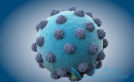 丙型肝炎病毒 丙型肝炎病毒