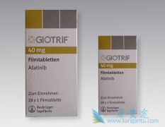 ����������ҩ������HER2ͻ��󰢷���������Ч������