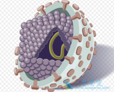 Ԥ�����͸��״�ȾҪ���˽���εĴ���;��