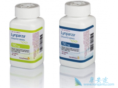 PARP���Ƽ�������������������һ��ά�������ѳ�������