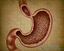 ����ҩ��̹/����������θ������������Щ�÷���