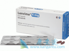 �ط�������ΪHBV�ΰ�����ҩ�����ҹ����ֳ��˸��õ���Ч