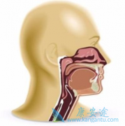 ���ʰ�������벡�����������кܴ��ϵ