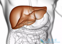 ���͸��ײ�����Σ�����ҸεĴ���;��