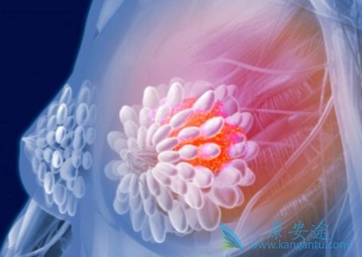 帕妥珠单抗 帕妥珠单抗